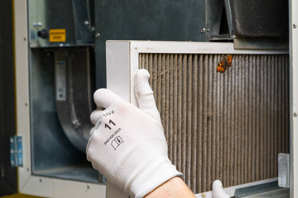 Best Emergency Air Duct Cleaning  in Muscle Shos, AL