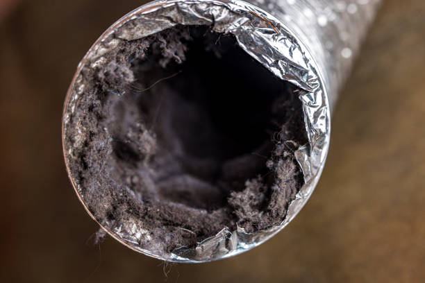 Best Air Duct Sanitizing Services  in Muscle Shos, AL