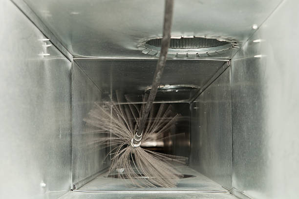 Best Ductwork Cleaning Services  in Muscle Shos, AL