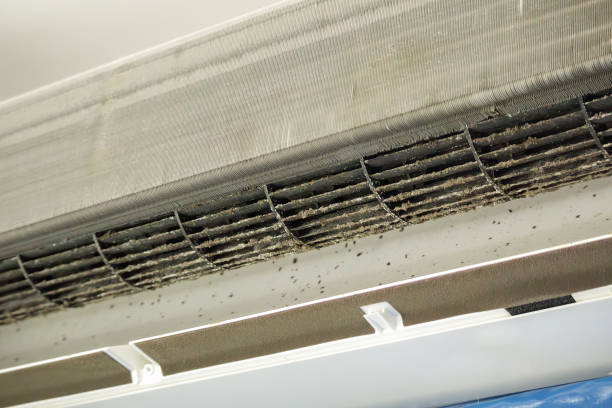 Best Residential Air Duct Cleaning  in Muscle Shos, AL