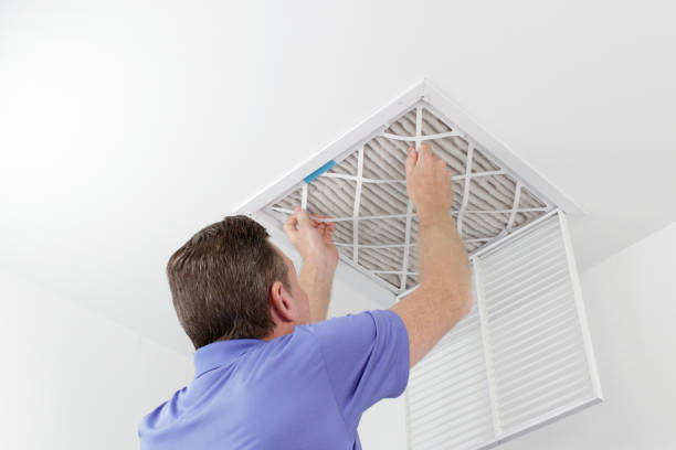 Best Affordable Air Duct Cleaning  in Muscle Shos, AL